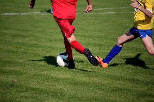 华体会登录地址-篮球训练计划科学制定及执行效果跟踪研究，简述篮球训练计划制定步骤